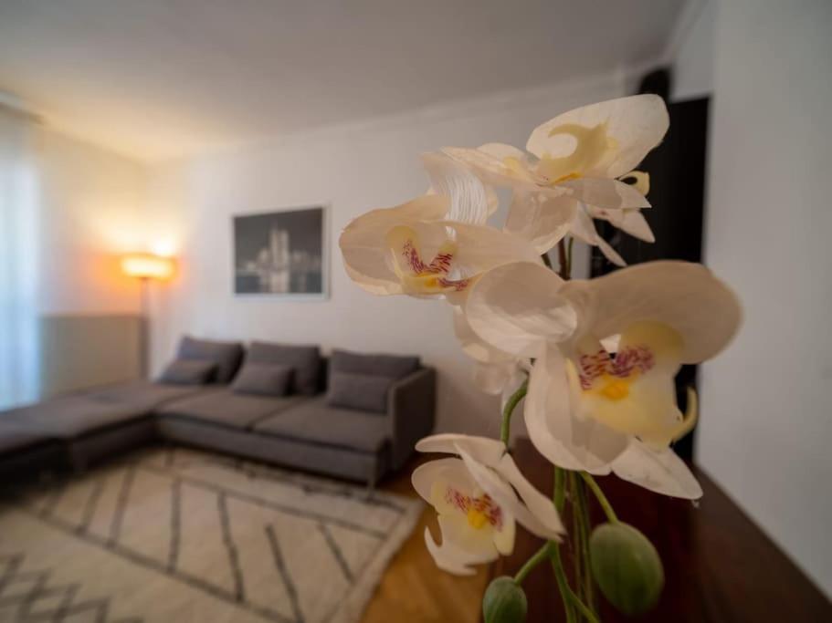 Appartement Climatise Tout Equipe A Cote Du Stade Velodrome 马赛 外观 照片
